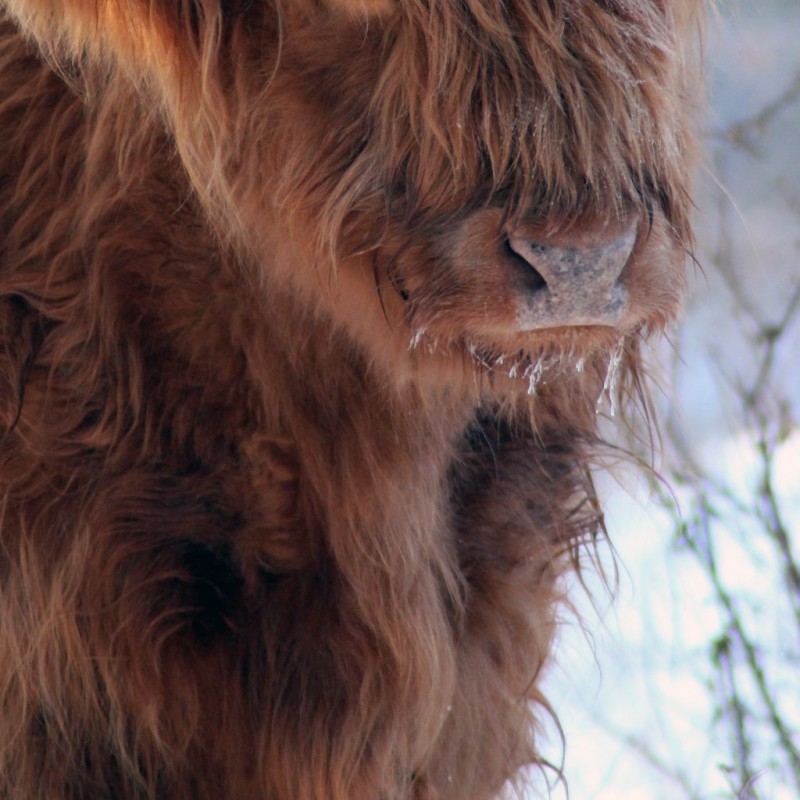 Terrill Ward - Geological Data Technician